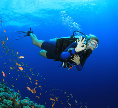 Forfait de plongée sous-marine au Grand Velas Riviera Maya