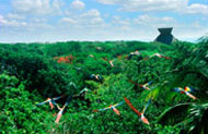 L'Antico Mondo Maya