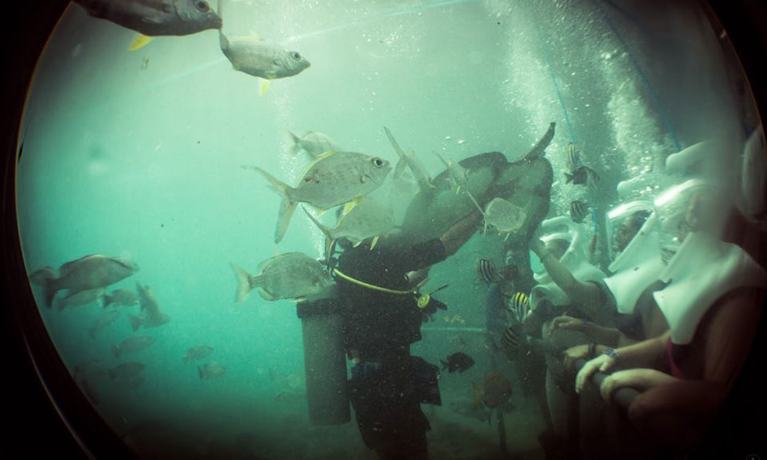 Приключения в море в Гранд Велас Ривьера Майя-Мексика