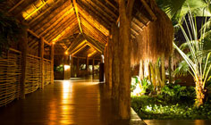 Grand Velas Special